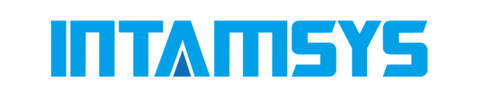 Лого Intamsys