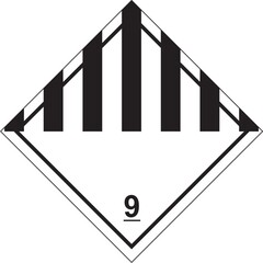 DG06.jpg