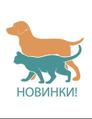 новинки.jpg
