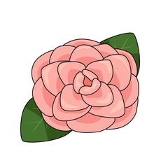 Камелия