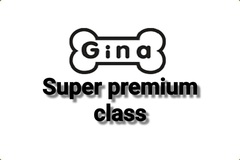Gina Super premium class