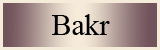 Bakr