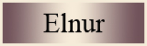 Elnur