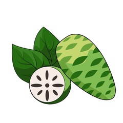 Экстракт нони