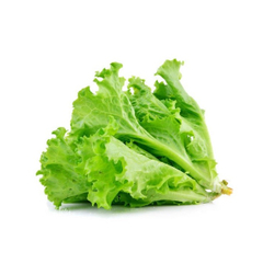 Семена листового салата