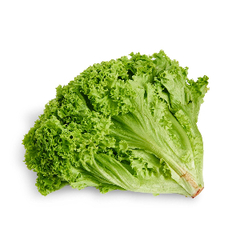 Семена салата Лолло Блонда