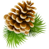 Елки с Шишками изображение