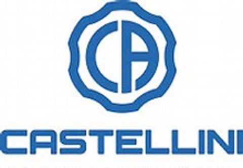 Castellini