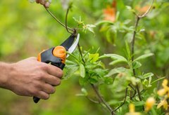 FISKARS