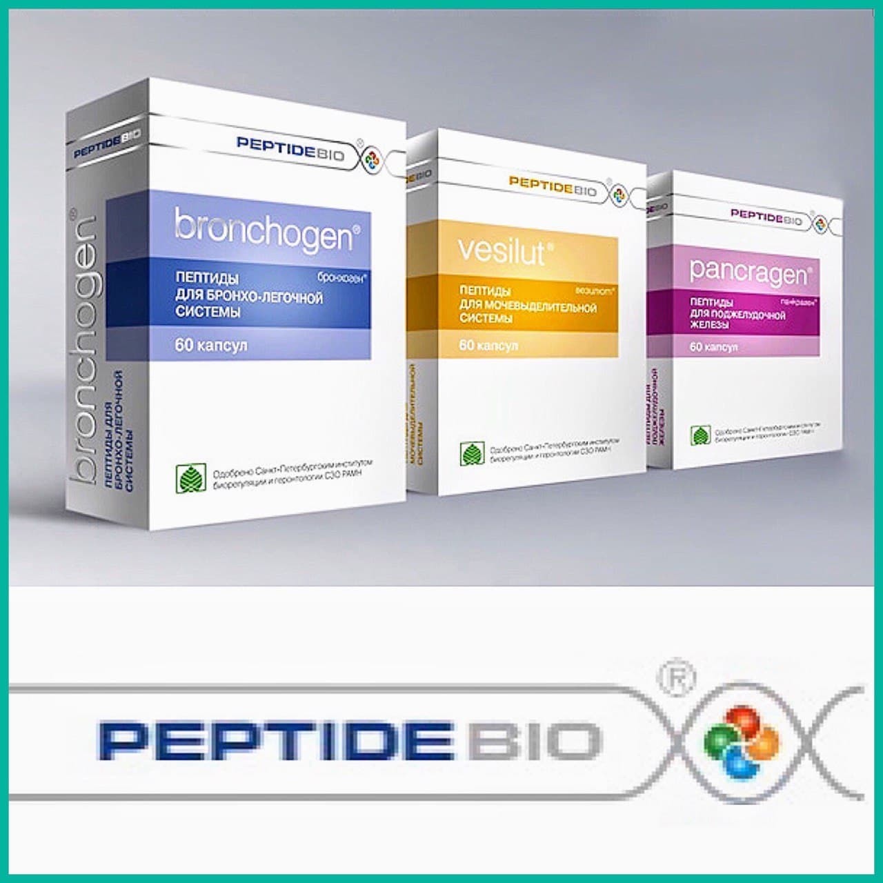 пептиды какие препараты. нормофтал. пептидные комплексы в растворе хавинсона. тестаген, капс. бронхоген n60 капс.