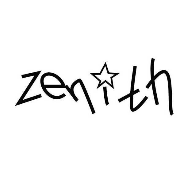 ZENITH Salt