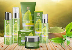 EGCG Korean Green Tea Catechin