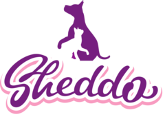 Sheddo