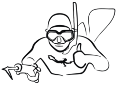 Категория_Дайвинг.png