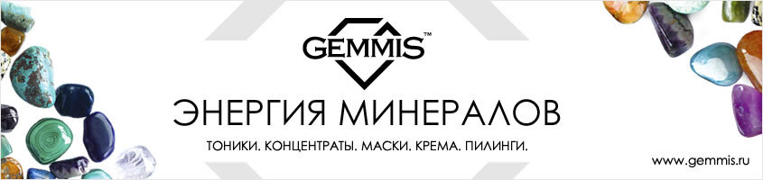 GEMMIS (Франция)