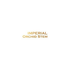 IMPERIAL Orchid Stem