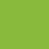 #153 grasshopper