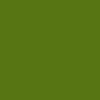 #164 fern green