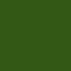 #165 moss green