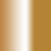 #220-1 gold dollar