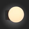 Светильник настенный ST Luce Botelli SL1581.401.01