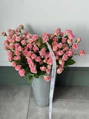 Кустовая роза в розовом оттенке