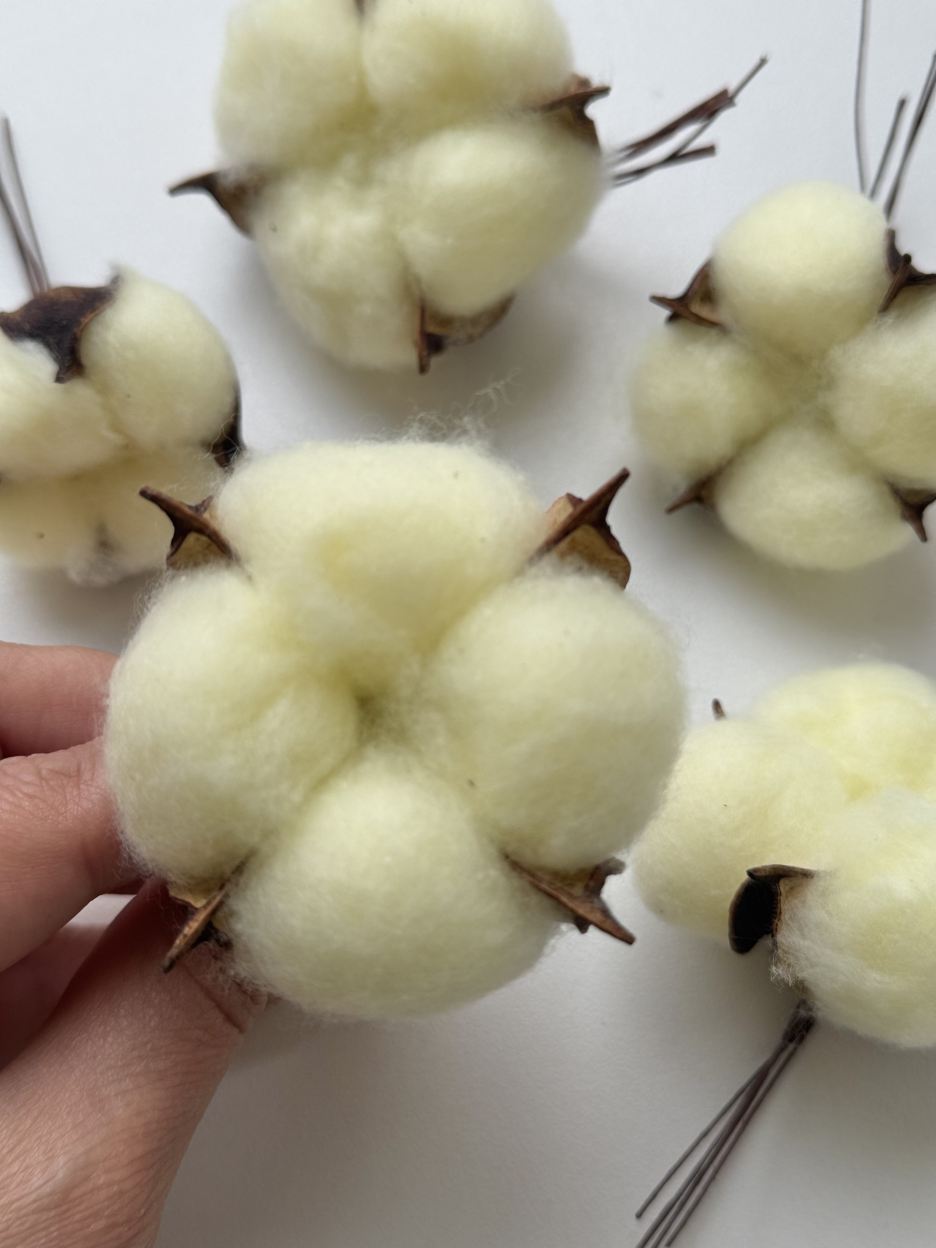 Хлопок Ванильный с натуральными волокнами на проволке (цена за 1 шт)