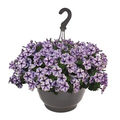 3265 Петуния SWEETUNIA STARFISH (ВЕСНА 2025)