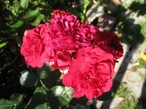 Гамлет(Hamlet)