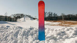 EASYRIDER RAINBOW - товар | iRide shop фото 2