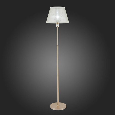 Торшер Evoluce Manila SLE107505-01