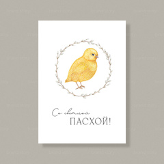 Открытка П43 (10 шт.) 7 х 10 см