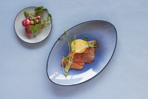 Блюдо 35см Revol Equinoxe Blue синее