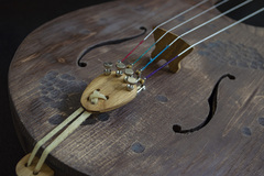 Бас -Тальхарпа грушевидная