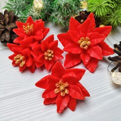Силиконовая форма 
