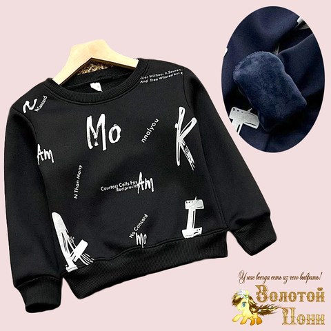 Толстовка на меху м (3-7) 240826-GF1420