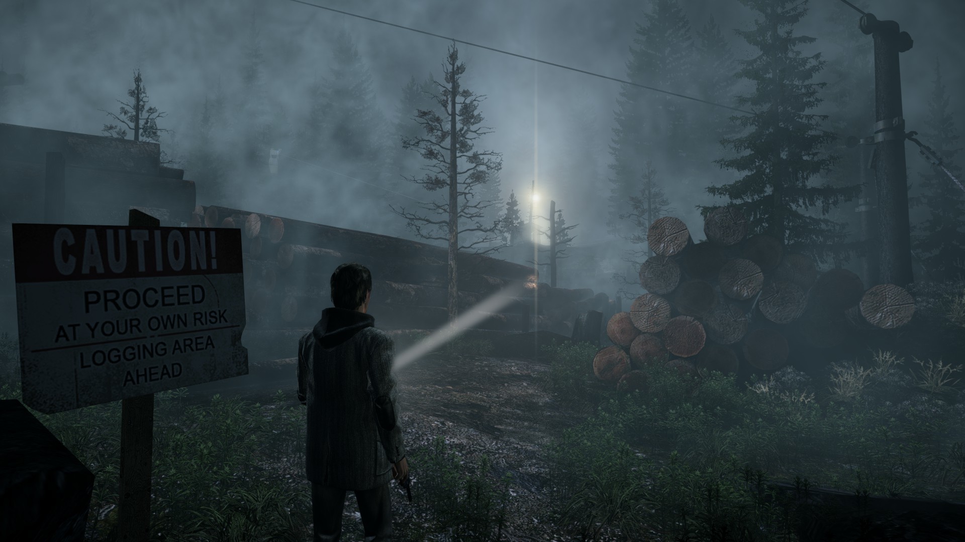 Alan wake remastered steam фото 59