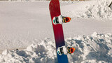 EASYRIDER RAINBOW - товар | iRide shop фото 6