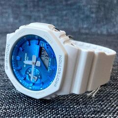 Часы мужские Casio GA-2100WS-7A G-Shock