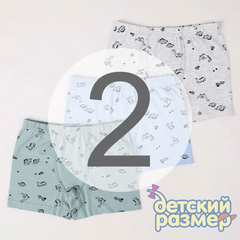 2 (3-4 года)