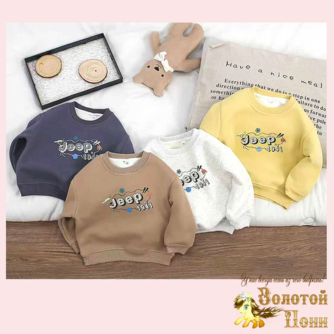 Свитшот хлопок детский (2-6) 251002-R2175