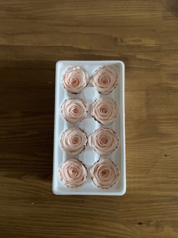 Роза классическая кремовая d=4-5 см