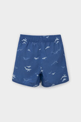 шорты  для мальчика  ТК 19012/4н ФВ