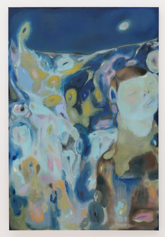 Полнолуние, луг распустившихся цветов, фея и дремлющий