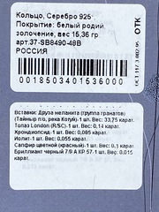 Меланит (кольцо из серебра)