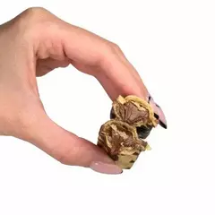 Вафельный батончик в шоколаде Snaq Fabriq Snaq Well Без глютена и сахара с начинкой  шоколадно-ореховой, 20 гр