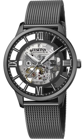 Часы мужские Festina F20535/1 Automatic