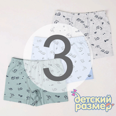 3 (5-6 лет)