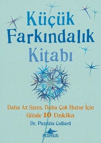 Küçük Farkındalık Kitabı