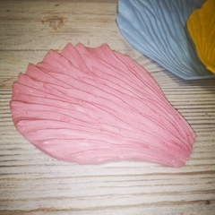 Роза Гладиолус МЛ33